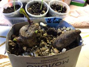 4CAA372F-6536-4138-BBAC-8965AC2D3453.jpeg