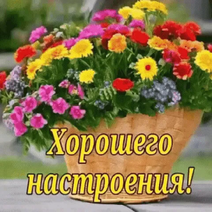 531062b5-80d4-4c2c-a9ec-dcc71e046d38.png