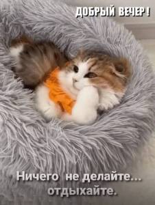 65656260b3ce19b2c520a470d32a1813.jpg