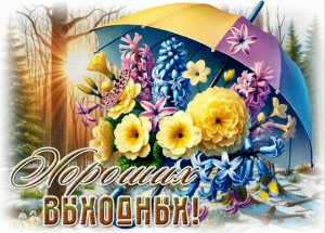 6e496236-38b1-4970-bafa-0abb11f6122c.png