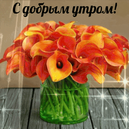 79.gif