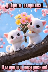 8ad29087-7bed-43dd-ac84-d8eb71fe76d0.png
