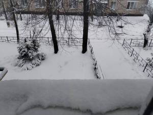 910126895_.thumb.jpg.03c49e2049fae6a2438ab8030abc8397.jpg