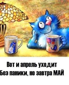 91882677f45f4b54d7c5f32a2fb470c5.jpg