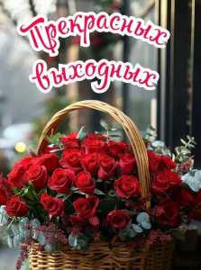 93135d0b-a630-4ddd-95e2-e2d8970b5f8e.png