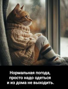 9581bc99938069fe4cc87f48d700052a.jpg