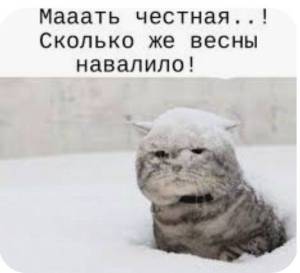 988743325_WhatsApp2025-04-0612_34.20_4ea8b38c.thumb.jpg.2e109c6b40b27cf6a64851611c040292.jpg