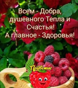 99cd1af5-61b6-43d2-aa05-8f7ff347d6dc.png