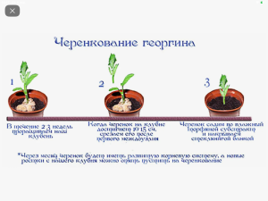 A17103D0-B7F5-4525-9A24-E79E86198646.png