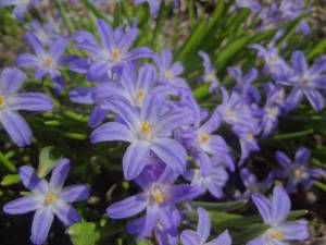 DSC01870.JPG