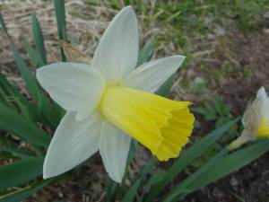 DSC01885.JPG