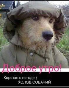 FB60F93B-19AE-4FA9-8A35-48A532088D95.thumb.jpeg.5128ab02f141ca6fdd53f36d85c1ca79.jpeg