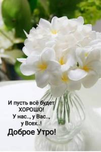 IMG-20220615-WA0002.jpg