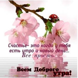 IMG-20230323-WA0006.jpg