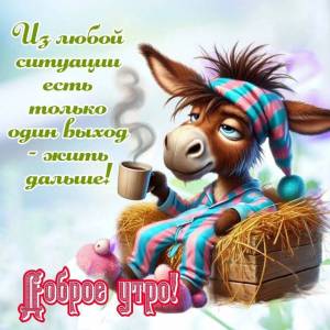 IMG-20250330-WA0031.thumb.jpg.5fb23f2bd723b780c1afa8bb640ca976.jpg