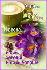 IMG-20250403-WA0000.jpg
