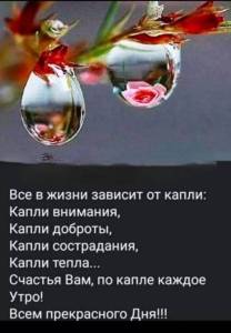 IMG-20250403-WA0002.jpg