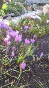 IMG-20250403-WA0039.jpeg