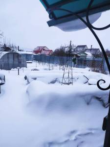 IMG-20250406-WA0000.thumb.jpg.a43b071a19633253aaca981c4b227e33.jpg
