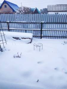 IMG-20250406-WA0001.thumb.jpg.911d794a4fa30e8a038909e7e1474acb.jpg