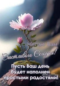 IMG-20250406-WA0016.thumb.jpg.6b11a5bd5b29edc3f9f73bd34a3306f0.jpg