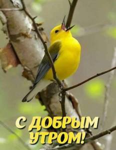 IMG-20250410-WA0004.jpg