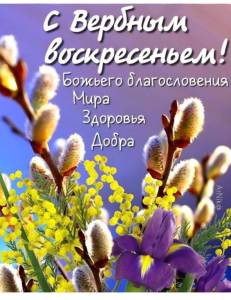 IMG-20250413-WA0007.jpg
