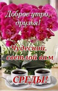 IMG-20250416-WA0010.thumb.jpg.ab8fe2733ba9ee63a9cf2f668a1d1825.jpg