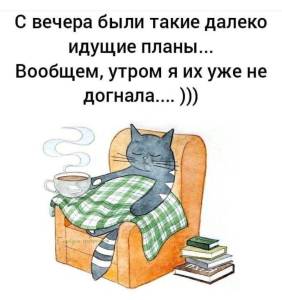 IMG-20250416-WA0023.jpg