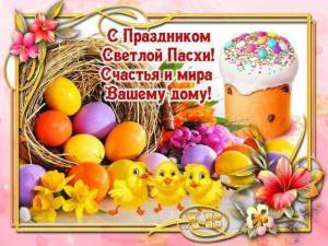 IMG-20250420-WA0048.jpg