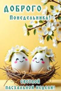 IMG-20250421-WA0000.jpg