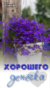 IMG-20250424-WA0000.jpg