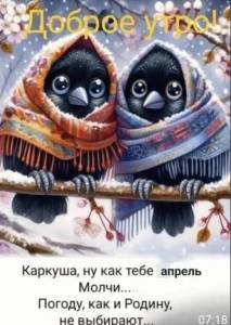 IMG-20250424-WA0003.jpg