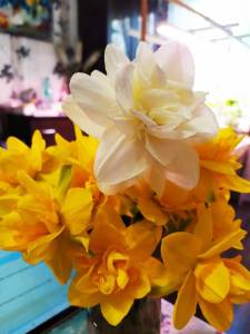 IMG-20250427-WA0000.thumb.jpg.21e2c9321c902ed4bf28c6c30a1bd9c1.jpg