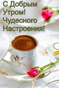 IMG-20250428-WA0000.jpg