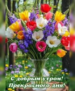 IMG-20250428-WA0044.jpg