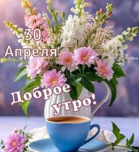 IMG-20250430-WA0000.jpg