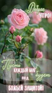 IMG-20250430-WA0001.jpg