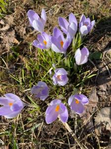 IMG_0123.jpeg