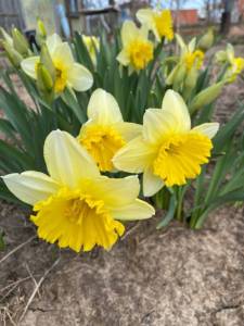 IMG_0155.jpeg