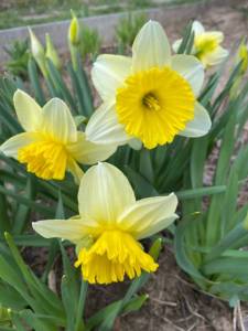 IMG_0156.jpeg