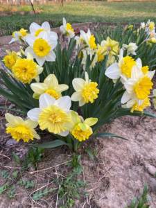IMG_0169.jpeg