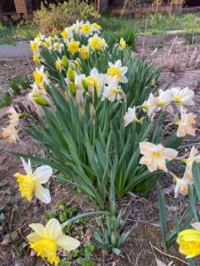 IMG_0170.jpeg