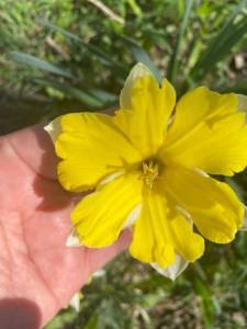 IMG_0173.jpeg