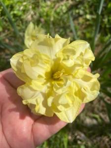 IMG_0174.jpeg