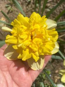 IMG_0181.jpeg