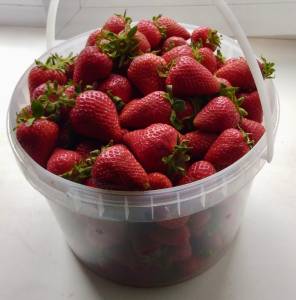 IMG_0263.jpeg