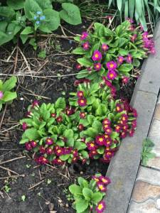IMG_0383.jpeg