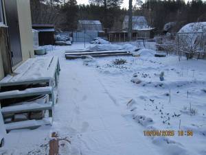 IMG_0662.thumb.JPG.73ad42e96f6261d1d6b4cdd1c26efbe5.JPG