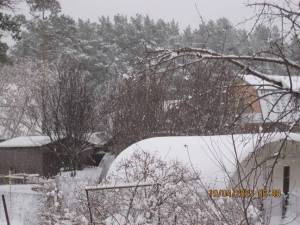 IMG_0668.thumb.JPG.823c84a46c8b52a02a9edb8cac70ec28.JPG
